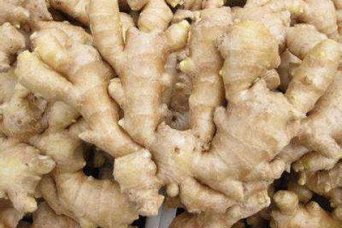[视频]生姜冷库储存可以放几个月？生姜冷库储存方法视频介绍