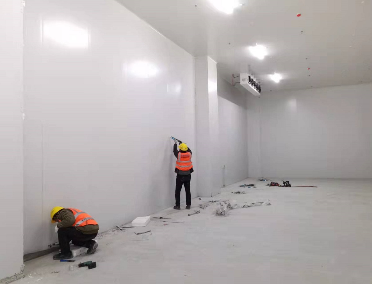 建设一个2000立方的果蔬保鲜冷库需要多少钱？
