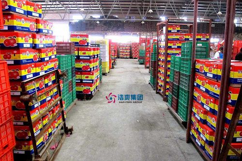 建造400吨苹果保鲜库，分三间共2000立方米需要多少钱？