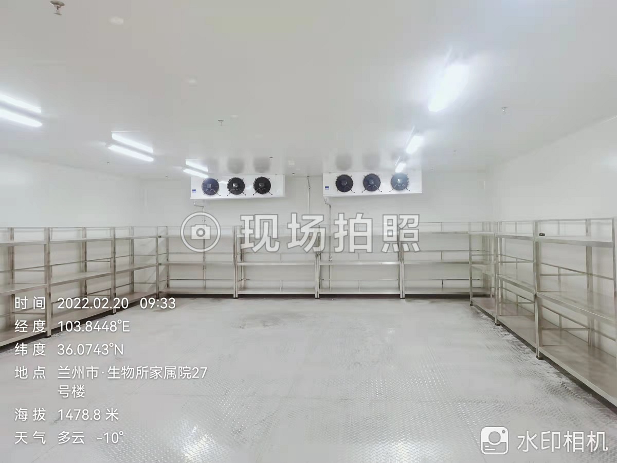 图为冷库完工内部实拍