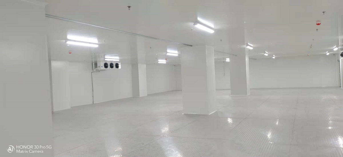冷库完工内部实拍