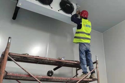 红菜苔冷库保存方法及最佳温度详解