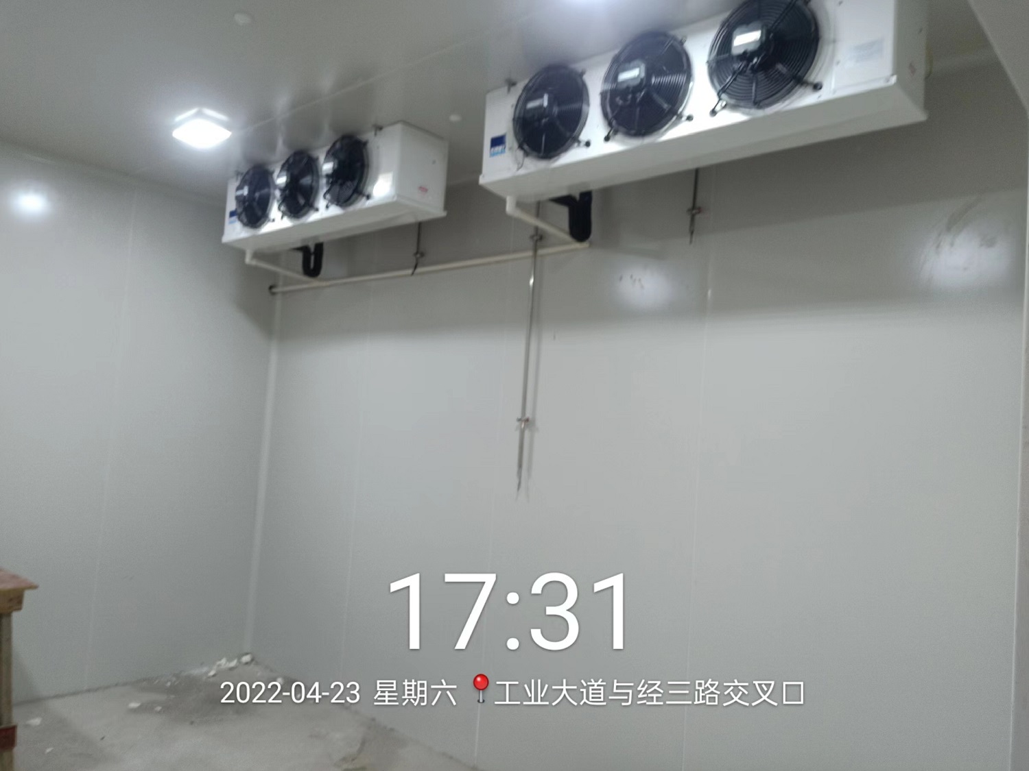 图为冷库完工内部实拍