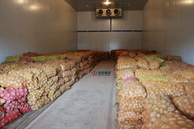 建造1000平米存放土豆冷库的需要多少资金？