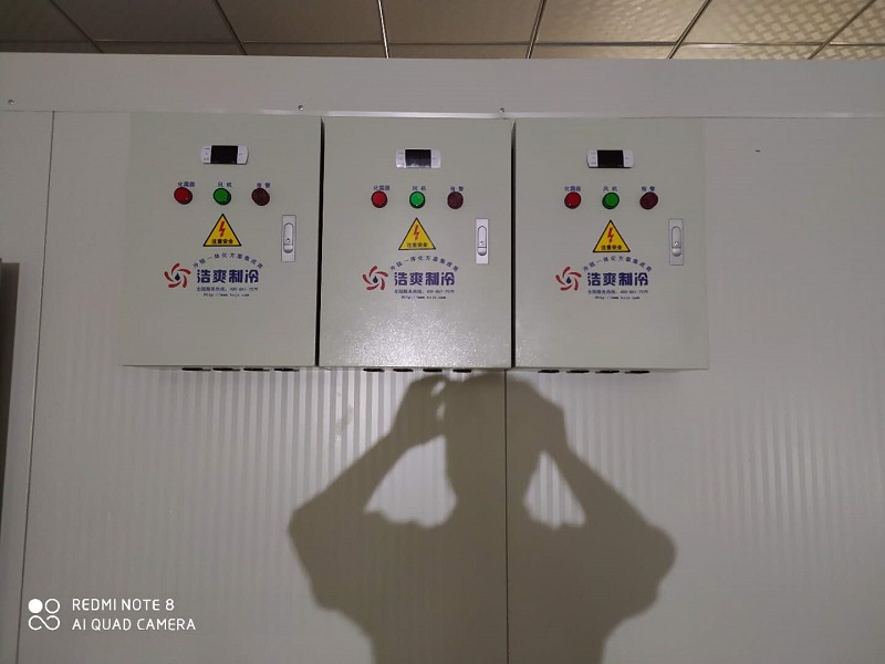 享受新鲜美味，桃子冷库存放的最佳温度是多少？