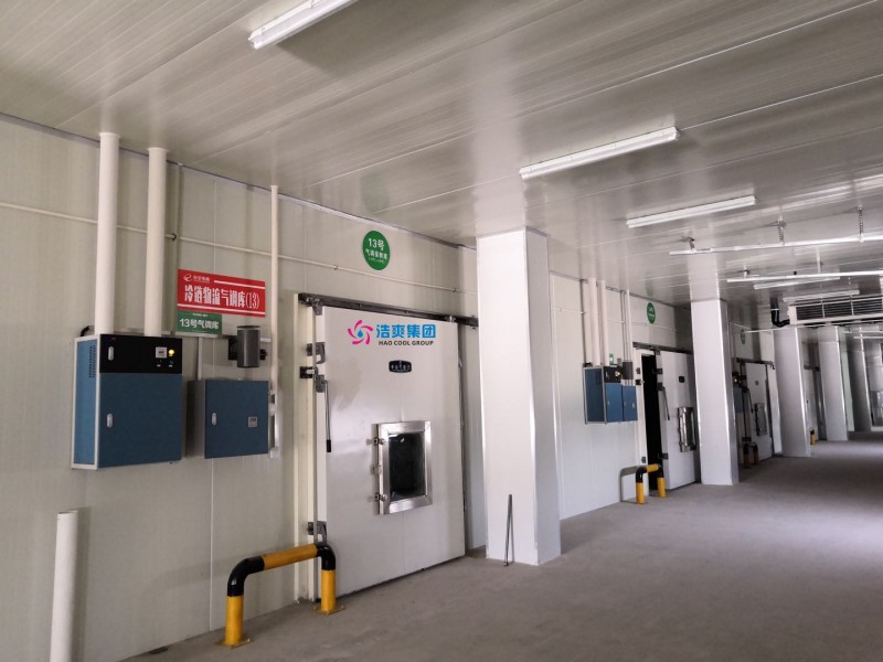 600立方米气调库建设成本：价格分析及预算规划