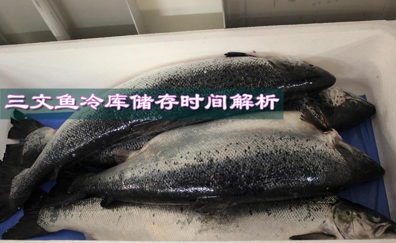 三文鱼在零下35度下的储存时间解析
