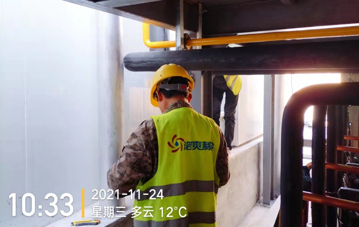 银杏果冷冻保存时间：如何保持口感和新鲜度？