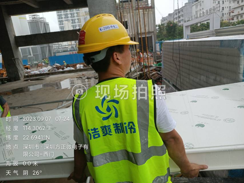 银杏果冷冻保存时间：如何保持口感和新鲜度？