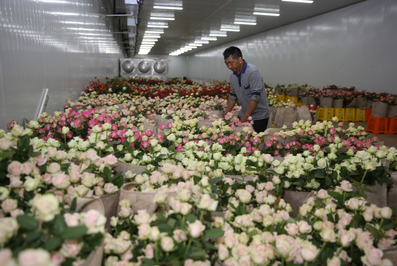 鲜花冷库建设费用一平米多少？建造成本详解