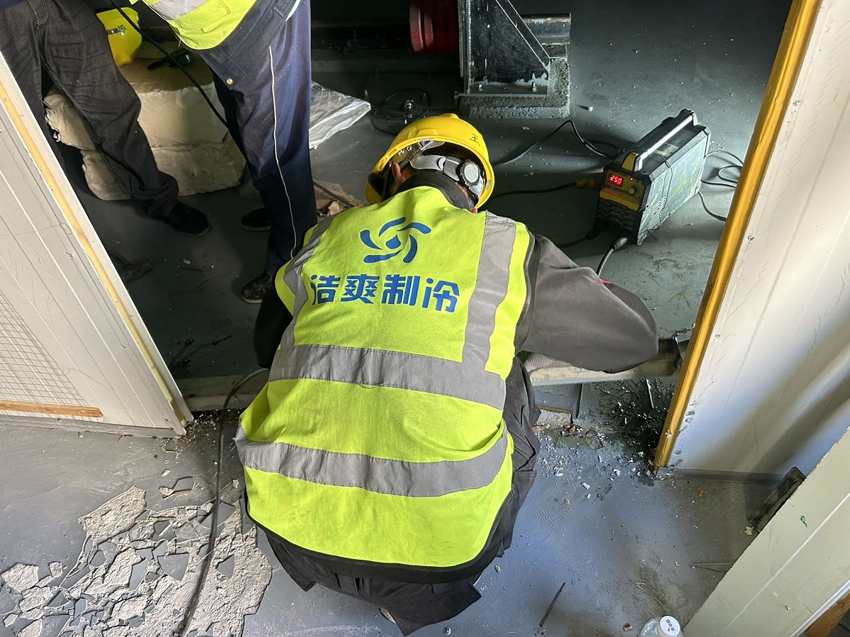 红玫瑰卡罗拉放冷藏库可以放多久？