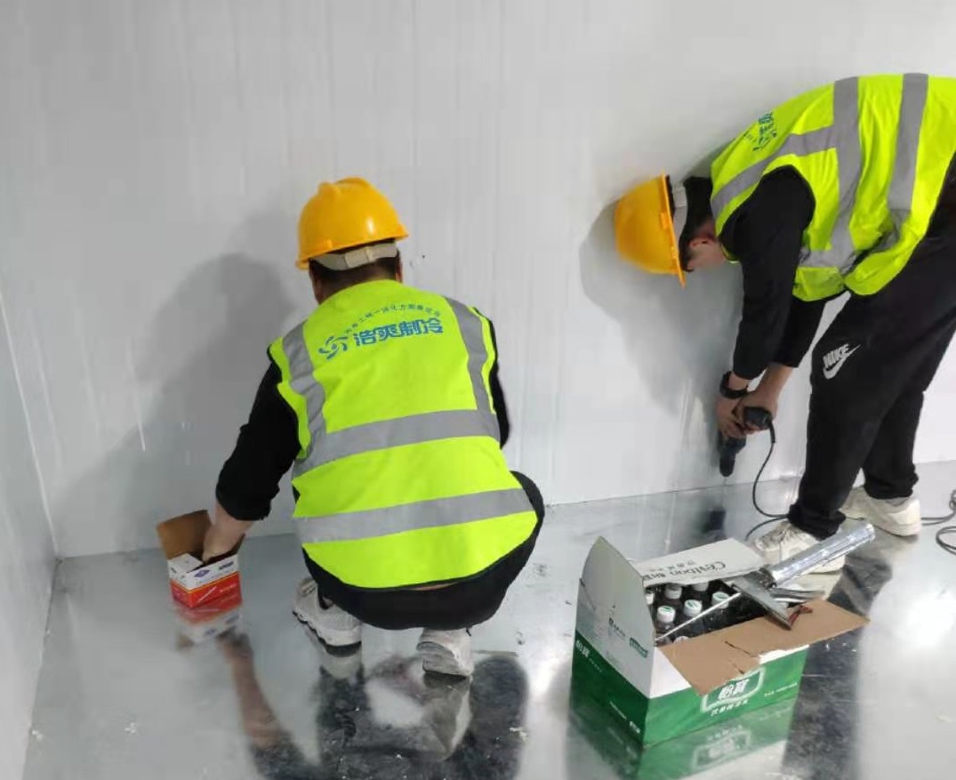 甜豆荷兰豆冷库贮藏温度多少合适？