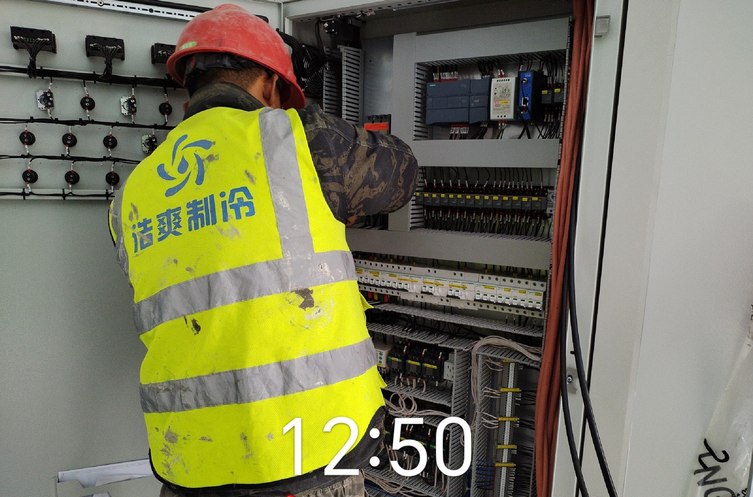 100吨鸡蛋冷藏库建造成本多少钱？